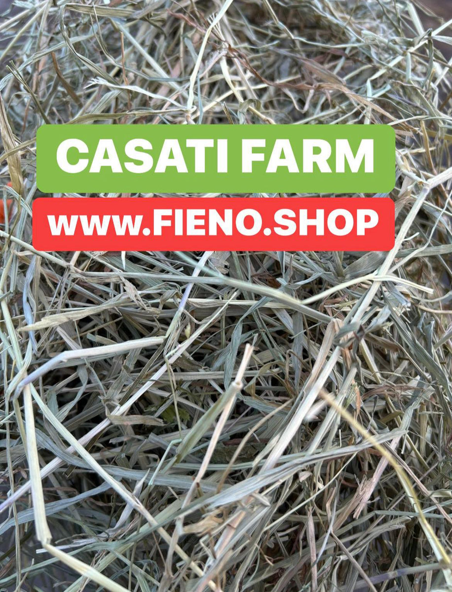 Un Tesoro di Biodiversità: il Prato Stabile – fienoshop