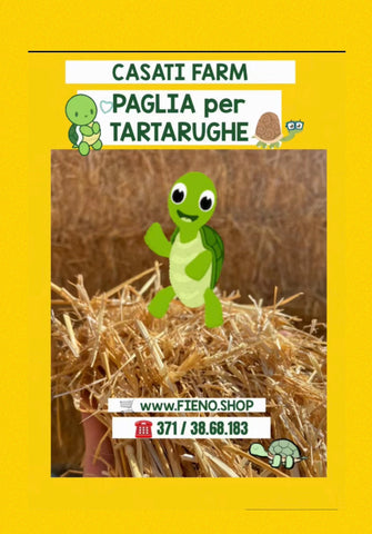 PAGLIA per TARTARUGHE