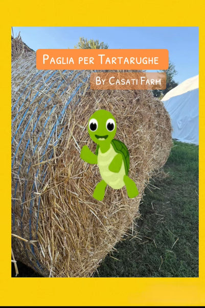 PAGLIA per TARTARUGHE