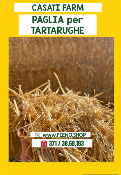 PAGLIA per TARTARUGHE