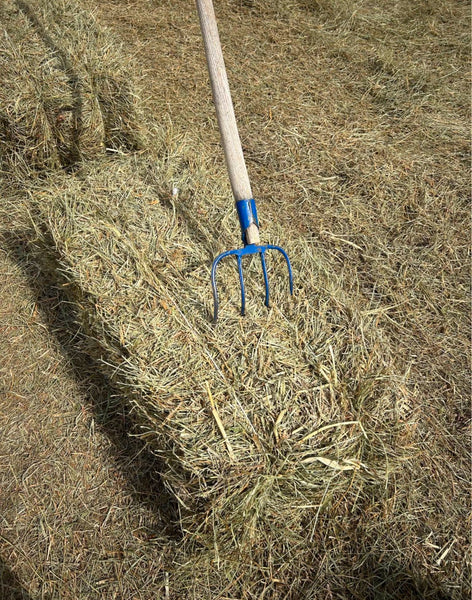 Balletta fieno alta qualità fieno di collina