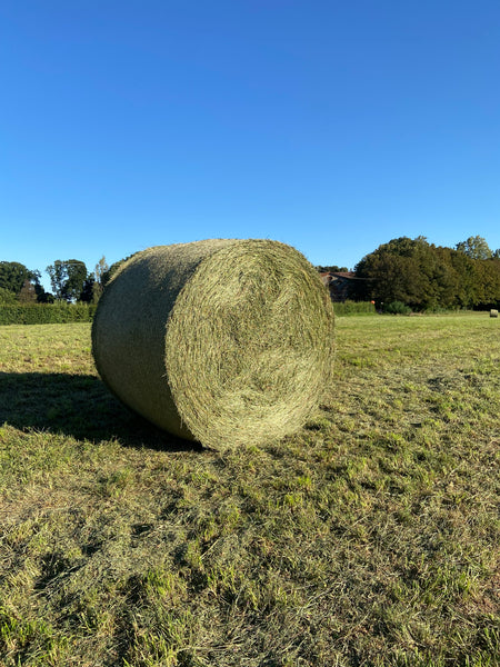 FIENO per ORTO pacciamatura
