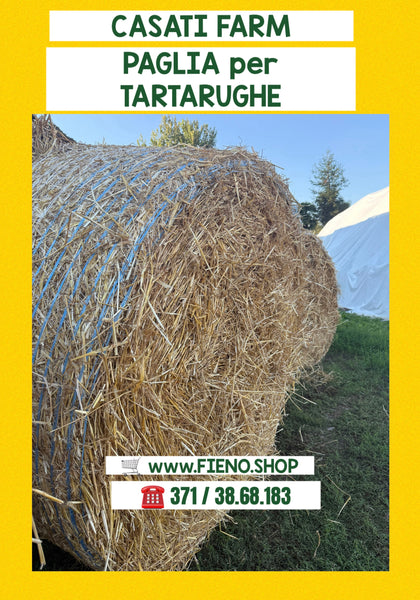 PAGLIA per TARTARUGHE