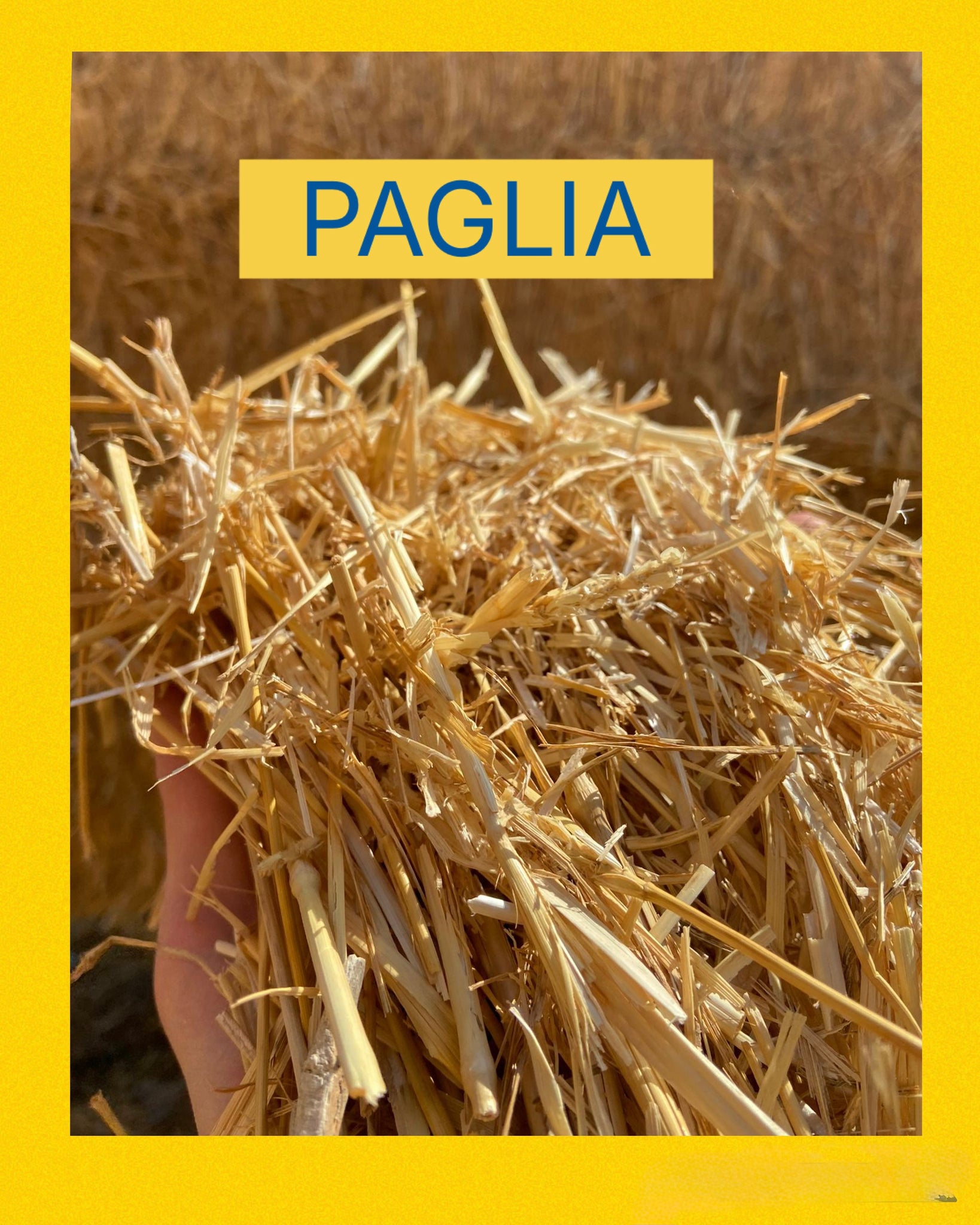 Paglia per tartarughe