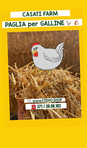 PAGLIA per GALLINE - POLLI