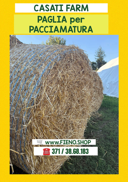 PAGLIA per PACCIAMATURA orto