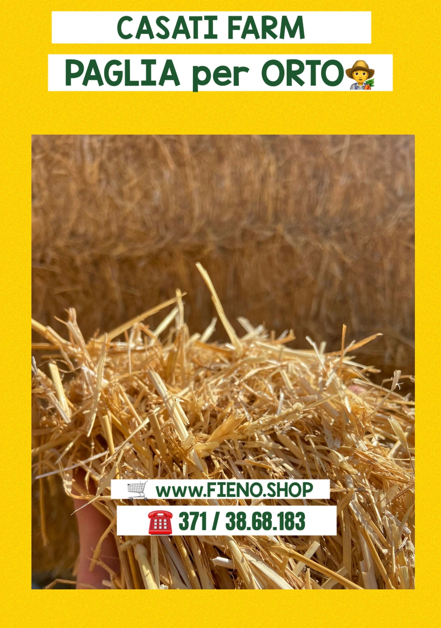 PAGLIA per PACCIAMATURA orto
