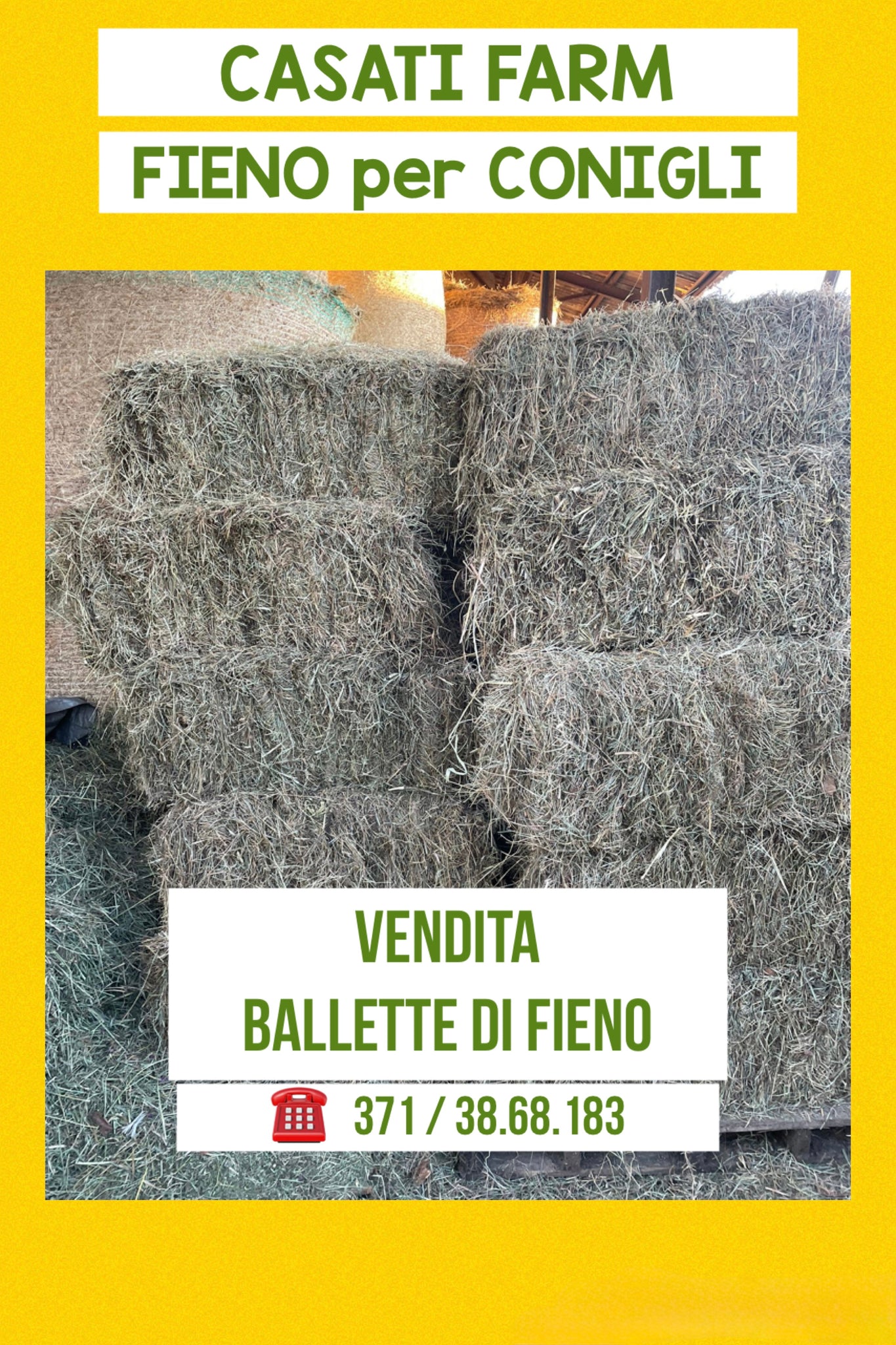 BALLETTA kg 14 di Fieno -Free Delivery -