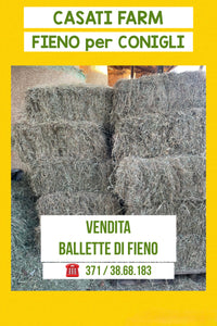 BALLETTA kg 14 di Fieno -Free Delivery -
