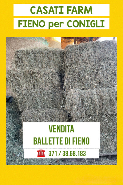 BALLETTA kg 14 di Fieno -Free Delivery -