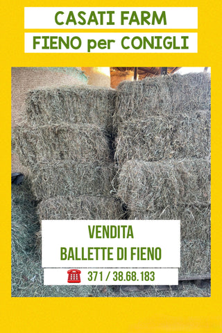 BALLETTA kg 14 di Fieno -Free Delivery -
