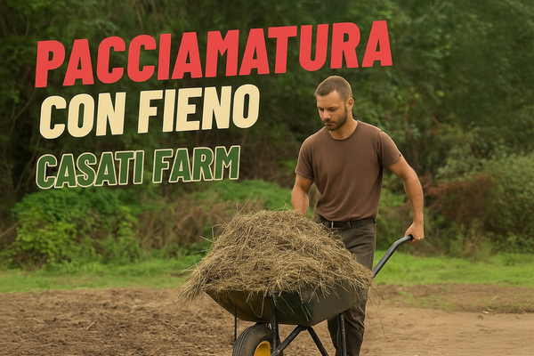 Fieno naturale per pacciamatura orto prodotto agricolo Casati Farm