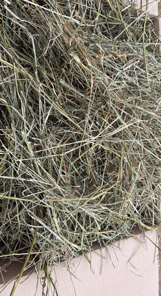 fieno per pacciamatura orto sfuso